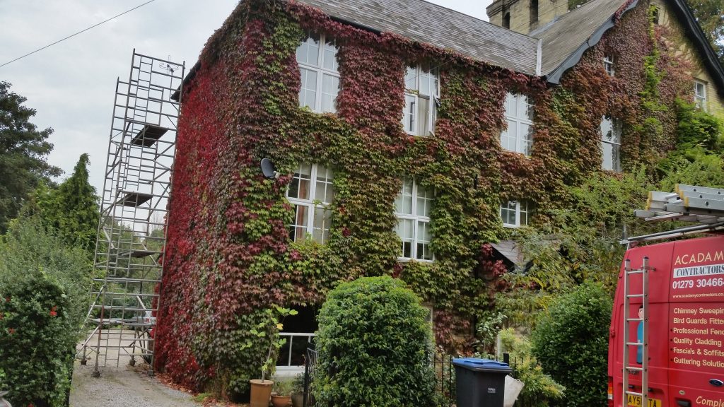 before-virginia-creeper-maintenance