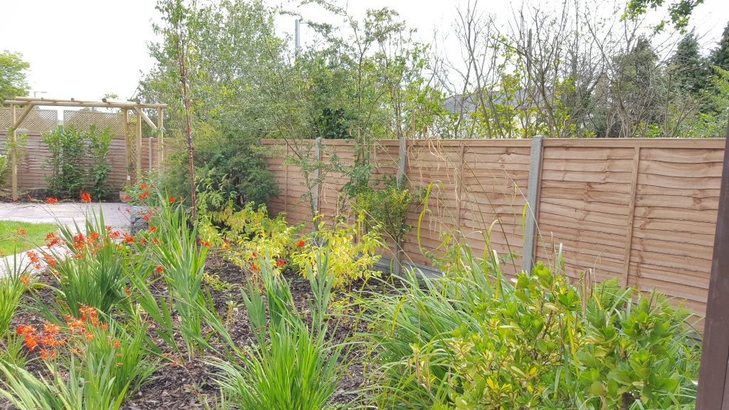 potter-street-rear-fence-after