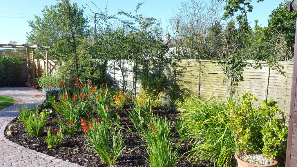 potter-street-rear-fence-before