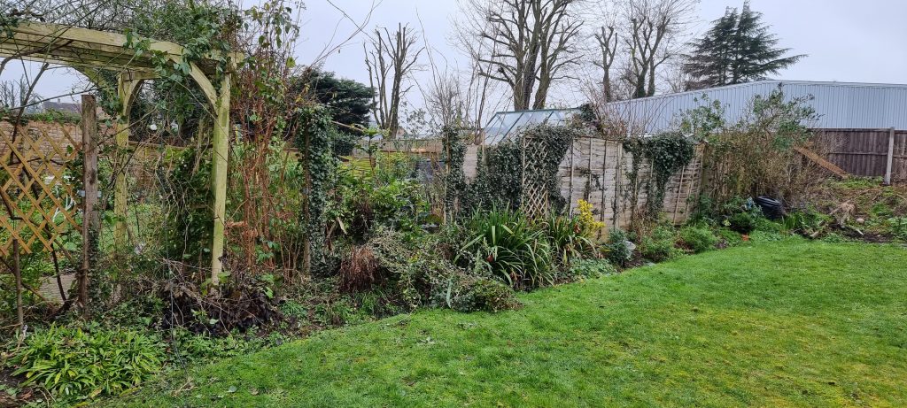 Before Replacement Garden Fence Elsenham