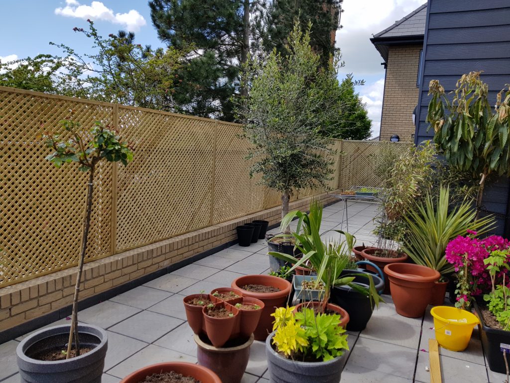 Privacy Trellis Overlooking Petrol Station Forecourt